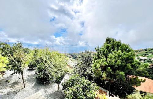 Casa Amarela by Your Madeira Rentals - Foto 37