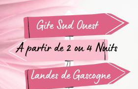 Gite climatisé L'Orée des Landes Proche Center Parcs - Foto 8