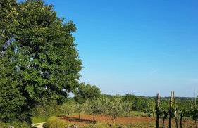 Holiday Apartment VILLA BIANCA - Photo 32