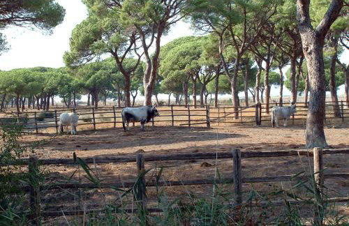 Casale Gli Ulivi - Foto 80