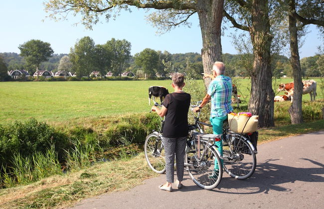 Europarcs Koningshof - Foto 73