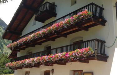 Flora Alpina apartments-Residenza Verdebjo - Foto 10