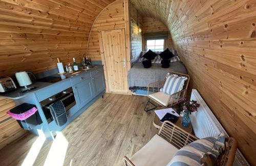 The Pod Patch - Trelerney Pod - Foto 12