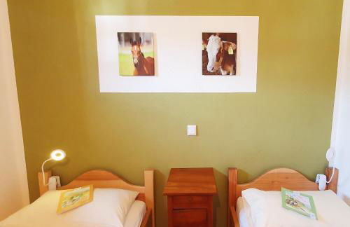 Springerhof - Foto 43