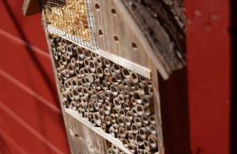 Glampinghütte Georgenthal - Foto 6