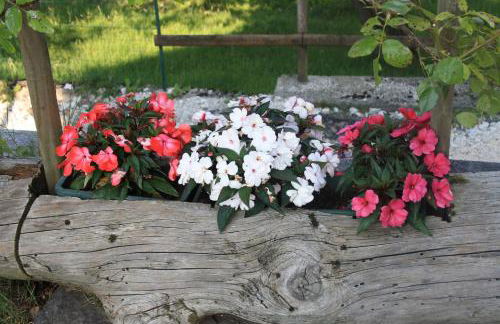 Albergo Diffuso Faller - Foto 39