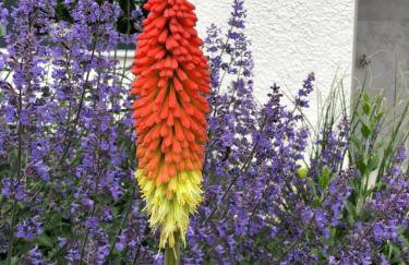 110qm Countryside Loft - Foto 63