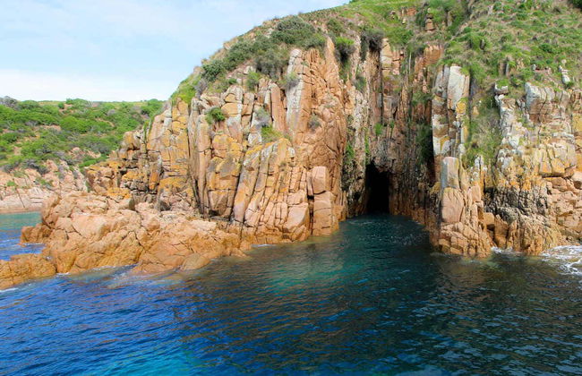 Paseo en barco por la Isla Phillip - Foto 8