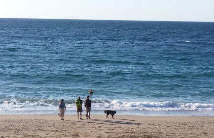 Wesley House Holidays - Choice of 2 Quirky Cottages in 4 private acres - Foto 34