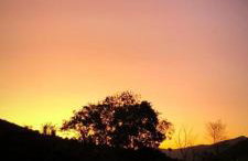 Condomínio das Lavandas - Foto 39