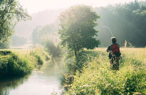 Ferienwohnungen Däubler - Foto 13