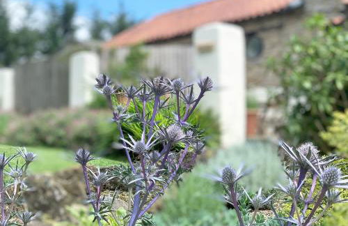 Wheatsheaf Cottage - 80021 - Foto 14