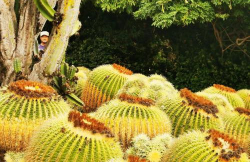 La LLar de la Kim, Bonita casa a 150m del mar y 40km de Barcelona - Foto 50