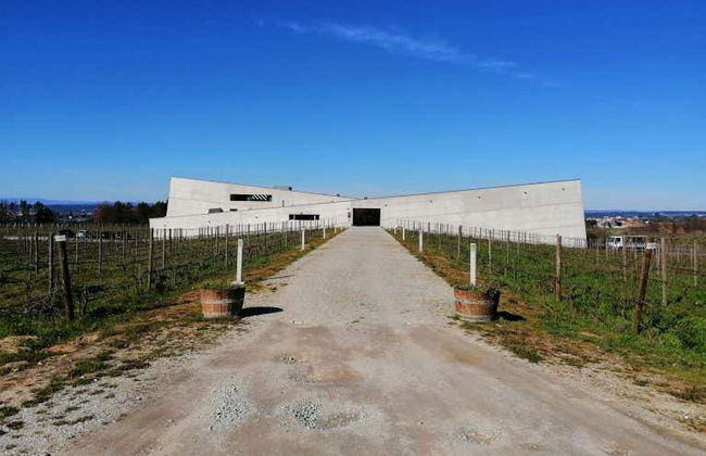 Dão Region Wine Tour - Photo 4