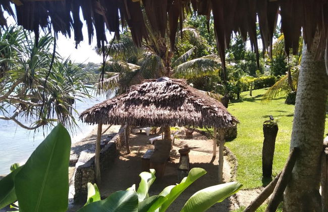 Troppo Mystique - Photo 47