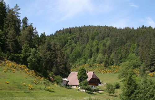 Haus am Waldrand - Foto 20