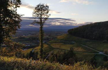 Ferienwohnung am Sulzbach - Foto 12