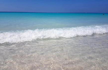 Agriturismo Il Poggio - Foto 38