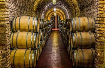 RIOJA VALLEY Apartamentos en el corazón de La Rioja - Foto 38