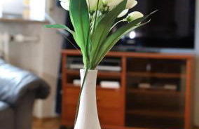 Ferienwohnung Röhrer - Foto 18