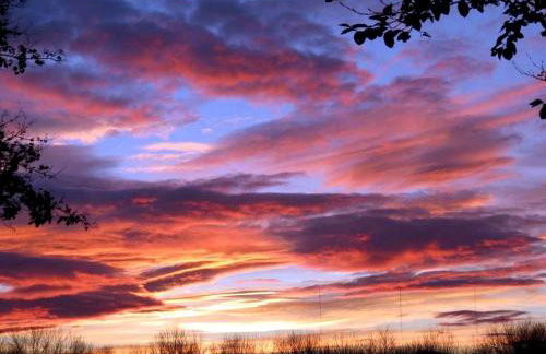 Pet-Friendly Vacation Rental on a Working Farm near Hudson, New York - Foto 13