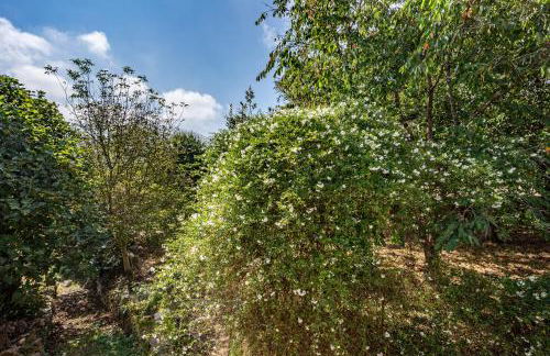 Casa da Penela - Foto 66