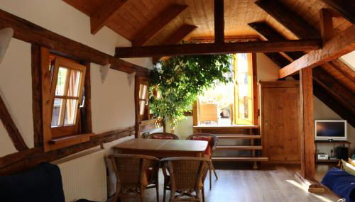 Bio-Ferienwohnung Ellensohn - Foto 5