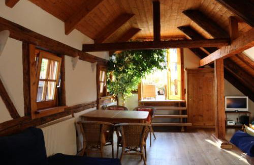 Bio-Ferienwohnung Ellensohn - Foto 5