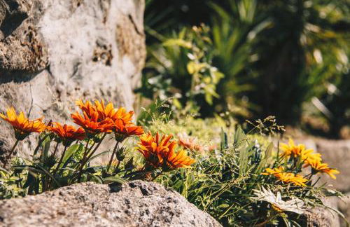 Quinta Do Padrao - Foto 46