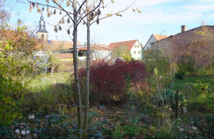 Hütte mit Herz im Harz - Foto 6
