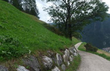 Apartments Residence Alta Badia - Foto 18