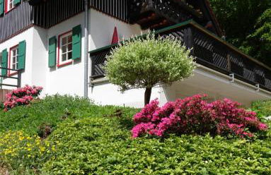 Ehrentaler Ferienhaus GbR - Foto 6