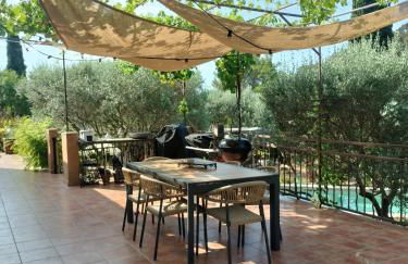 Les 3 petits oiseaux - Foto 12