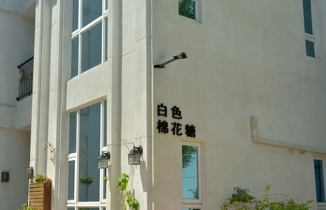 White Cotton Candy B&B - Photo 67