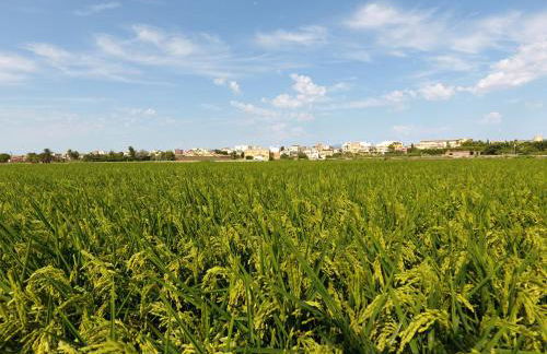 L'Hortet del iaio - Foto 56