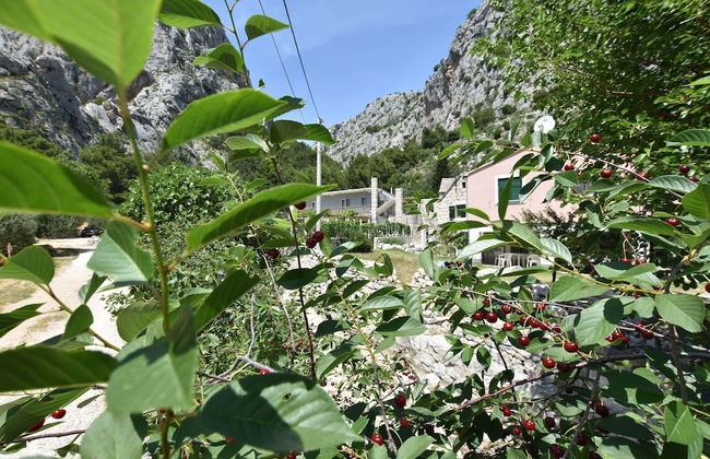 Apartment Petea - Foto 54