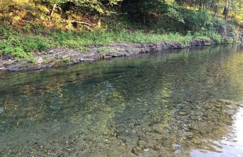 Caddo Cabin on Collier Creek - Foto 57