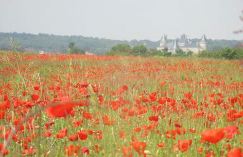 Rue des Douves - Foto 36