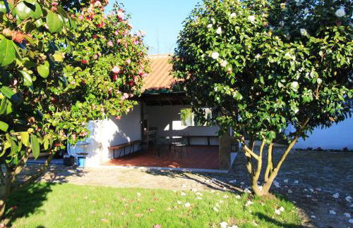 Casa dos Ouriços - Foto 8