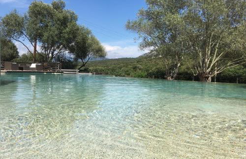 Lecci e Murta - Foto 4