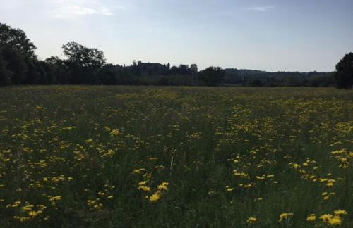 CAROLINE home - Foto 19