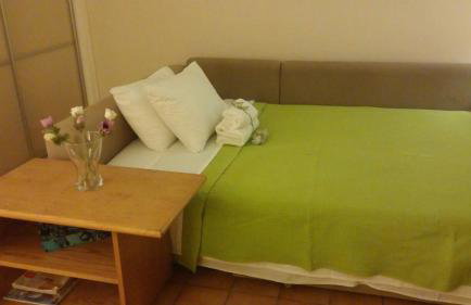 Comfortable garden Apt near Vouliagmeni beach - Photo 8