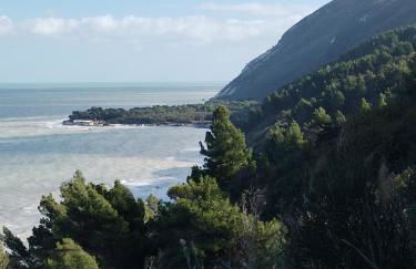 La Buganvilla - Foto 24