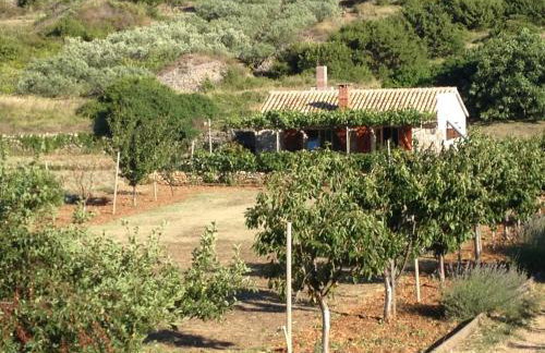 Secluded house with a parking space Podhumlje, Vis - 13984 - Foto 1