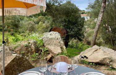 Caseddu 100m de la plage - Foto 17