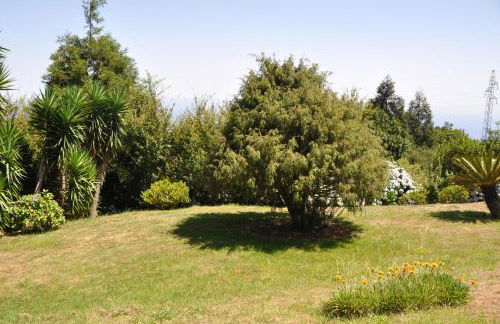 Luxury VILLA CAMÉLIA. Mountains, golf, horses, levada walks. - Foto 40