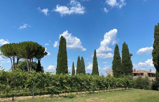 Tenuta Sovestro - Agriturismo e Winery - Foto 76