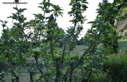 Cascina Gretaio, dimora tipica - Foto 24