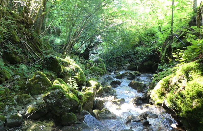 House By The Stream - Foto 18