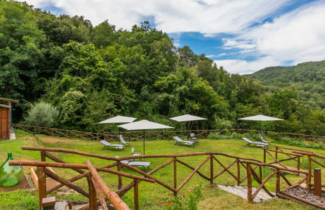 Fiordaliso - Foto 46